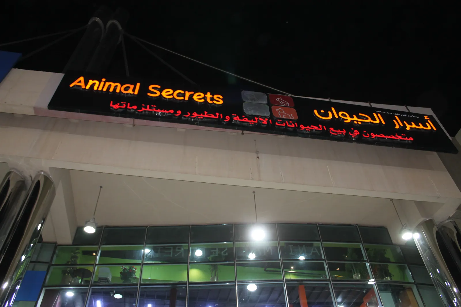 اسرار الحيوان