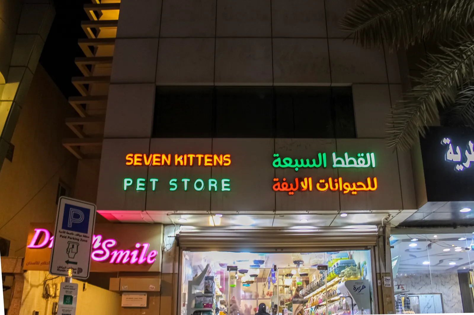 القطط السبعة للحيوانات الاليفة