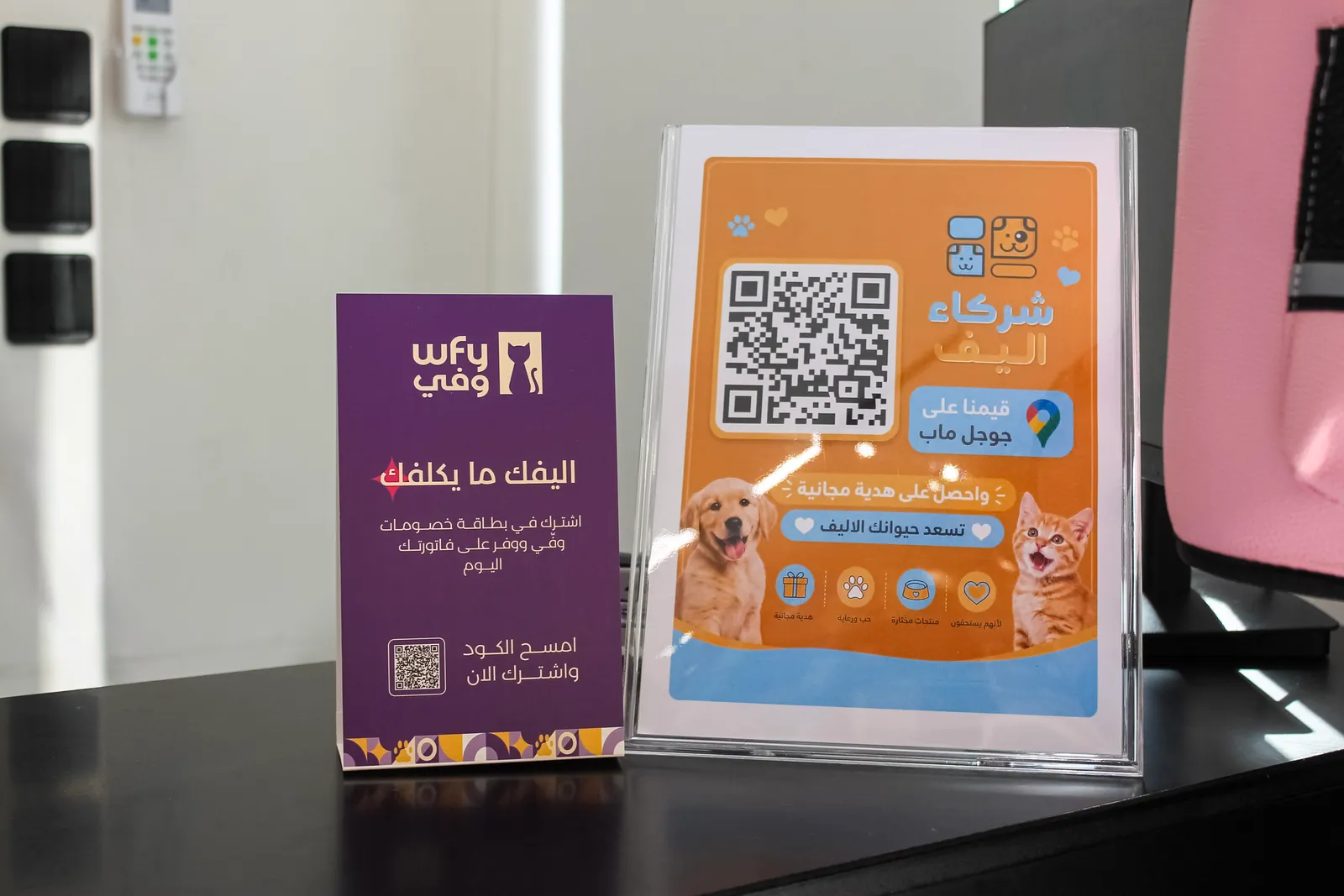 شركاء اليف للحيوانات الاليفة