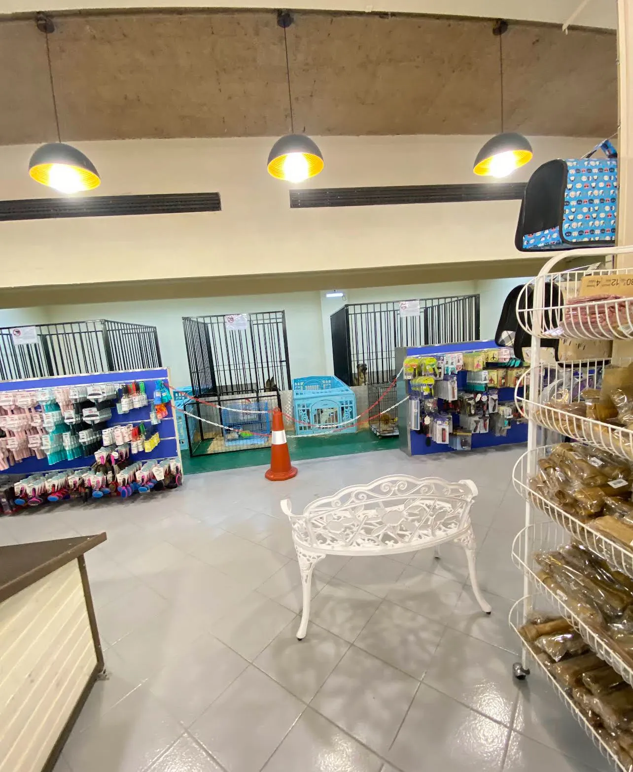 الحياة والطبيعة