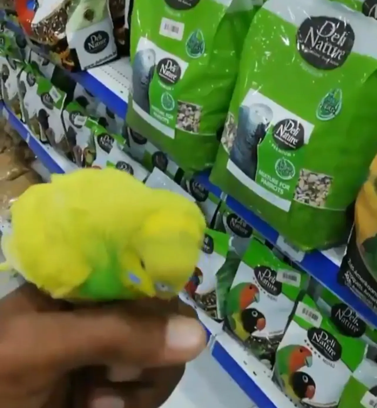 جنة الطيور